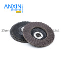 Double Flap Disc with Fiberglass Backing